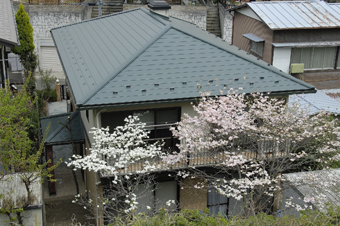 �S�ʃ��t�H�[���F�a�e�C�X�g�̌�����ƁF�r�l�@�O��